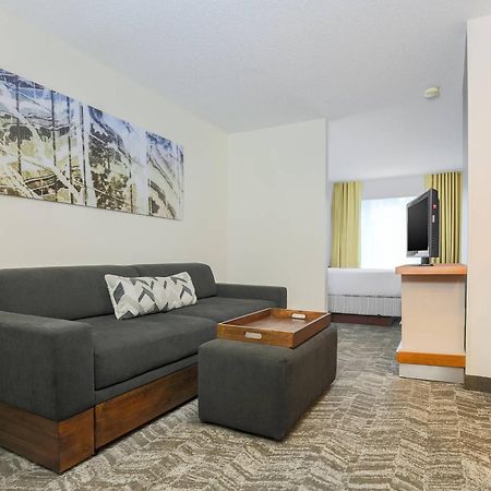 Springhill Suites By Marriott Houston Brookhollow Dış mekan fotoğraf