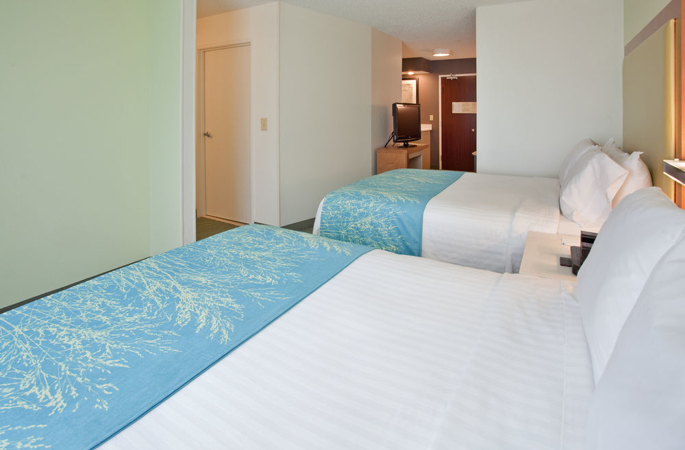 Springhill Suites By Marriott Houston Brookhollow Dış mekan fotoğraf